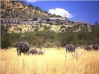 Serengeti Sopa Lodge