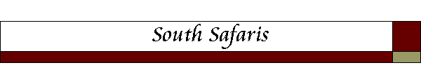 South Safaris