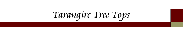 Tarangire Tree Tops